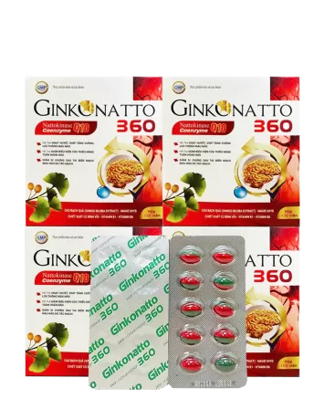 Ginkgo Natto 360 Coenzym Q10
